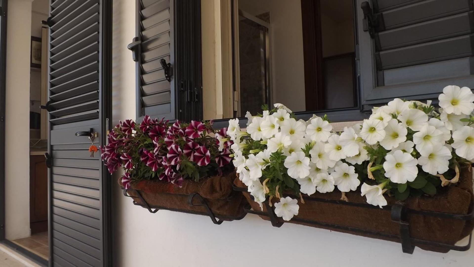Beb Nonno Baffo Bed & Breakfast Avola Exterior photo